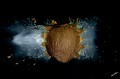  photographie, haute vitesse, kiwi 